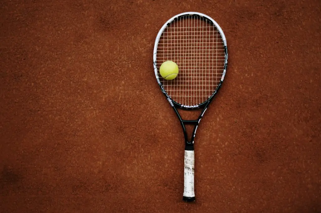 大標題：網壇風雲：世界網球賽事一覽